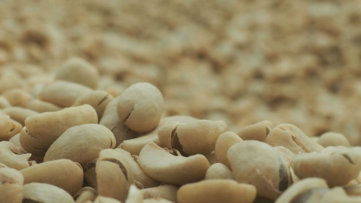 Washed Sidamo Grade 2